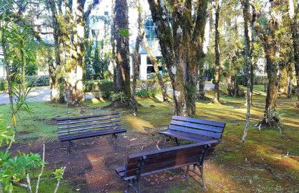 Espetacular Flat no Mountain Village - Foto 50