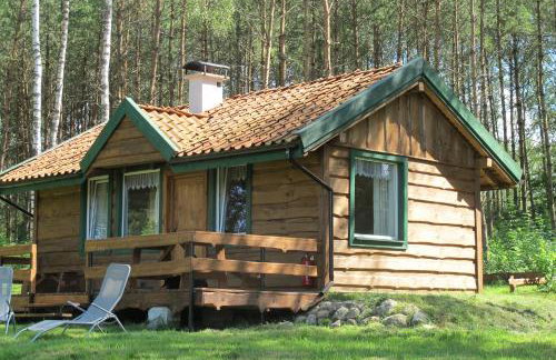 domki na leśnej polanie - Foto 13