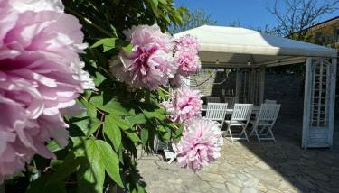 ElleCi Casa Vacanze - Foto 3