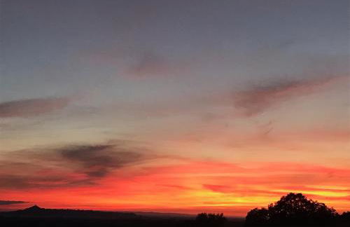 Garden Flat - Foto 15