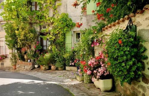Town Centre with garden & free parking Le Dorat - Foto 36