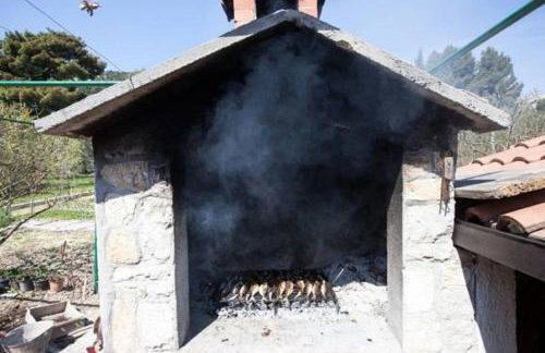 Apartment Green Oasis - Photo 23