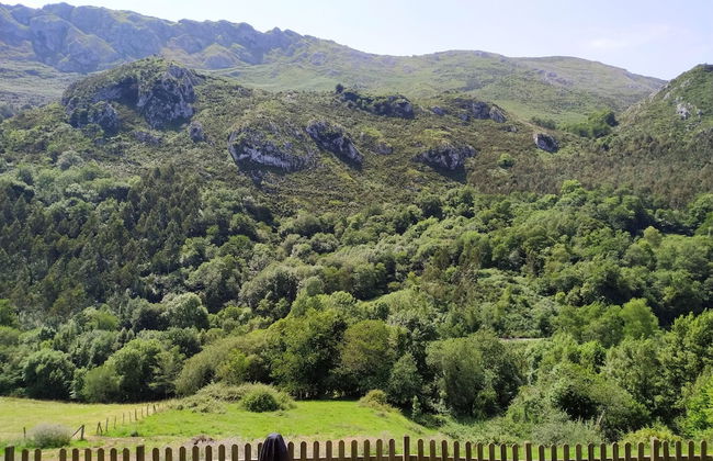 El Interior De Gaia - Foto 14