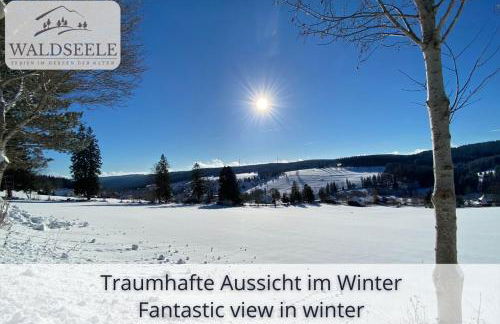 Exklusives 5-Sterne Apartment Waldseele mit Indoor-Pool, Sauna, top Lage und Ausblick in die Natur, Hunde willkommen - Foto 41