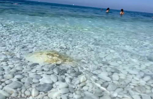 Casa Vacanze Marina di Pisa Catola - Foto 26