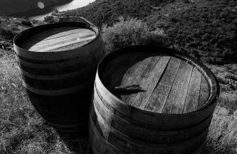 Casa da Barca - Foto 23