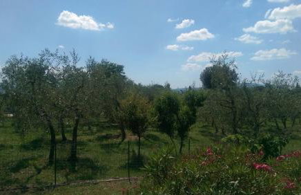 Villa Monnalisa - Foto 5