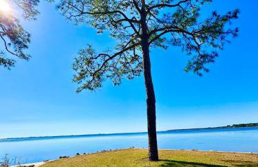 Bay-front Condo near Gulf - Elegant and Private Stay - Penthouse with Elevator - Foto 11