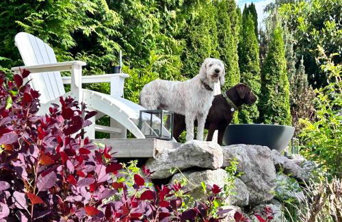 L'Ours Blanc Lodge - Foto 38