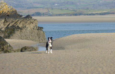 2 Bed in Porthmadog oc-82928 - Photo 22