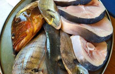 Mala Kuća - Photo 37