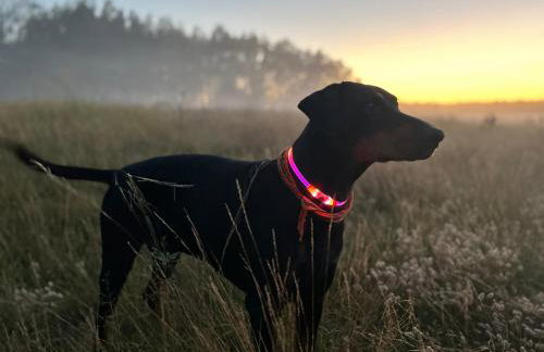 aResowa Wioska - Foto 25