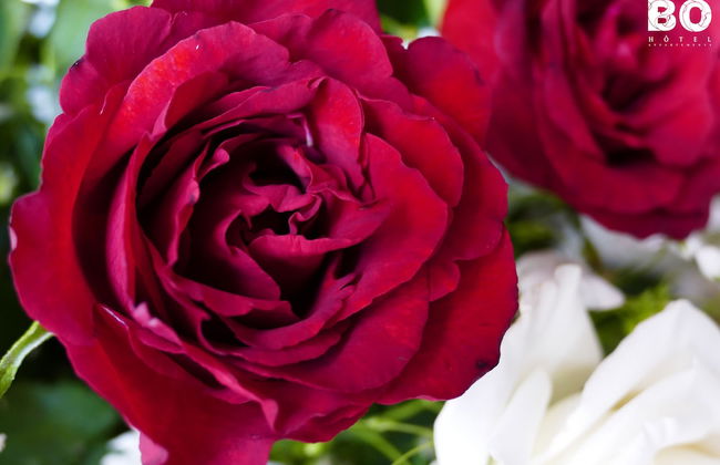 Ocean Atlantic View - Photo 18