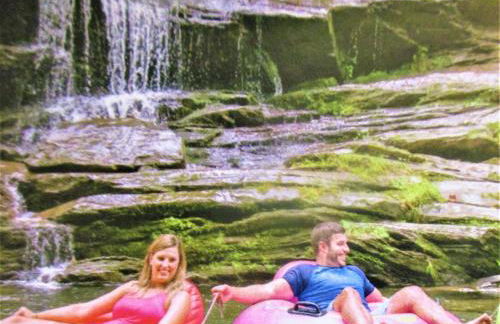 Alpine Log Cabin - Foto 5