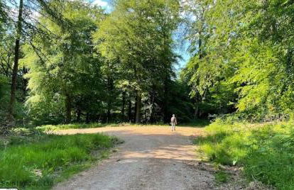 Meadow Byre - Foto 17