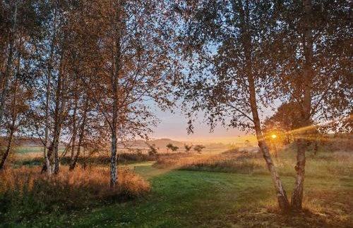 Całoroczny domek Las - Foto 13