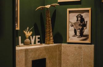 Suite Jungle Spa - Sauna & Balnéo - Foto 32