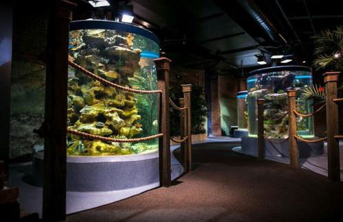 Stunning 2BR-1B Apt+Mins to Zoo& D/T+HD Projector - Foto 71