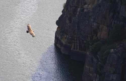 Casa de l Bárrio - Foto 16