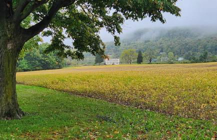 The Yellow House - Foto 26