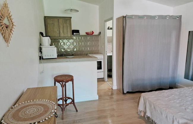 Pinea Mare - Foto 10