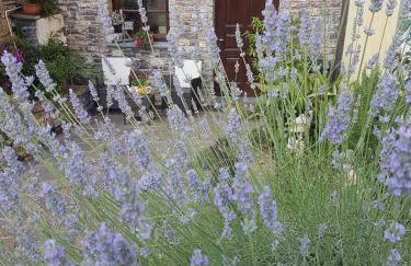 Agriturismo Dinoabbo Oleandri - Photo 2