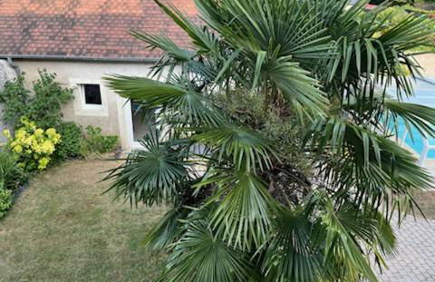 La Maison de Zoé - Foto 27