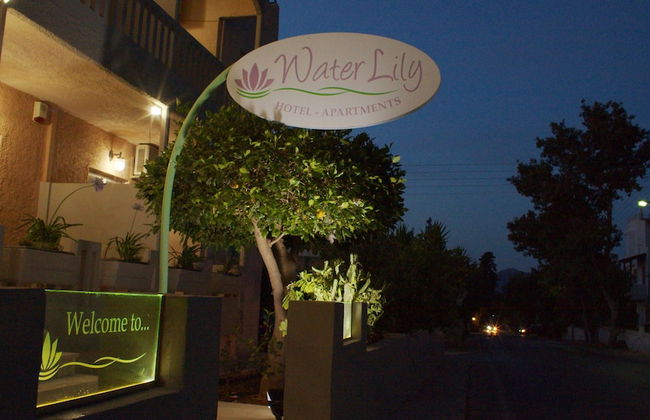 Water Lily - Foto 46