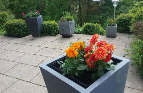 Perlenbachtal - Foto 36