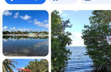 Bienvenidos a la Pequeña Selva de Legnalife - Foto 37