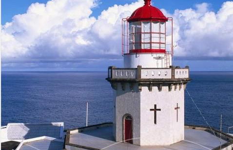 Norverde - Açores - Photo 27