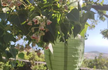 Villa Torres - Foto 21