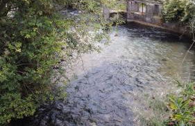 Casa vacanza Escher - Foto 63