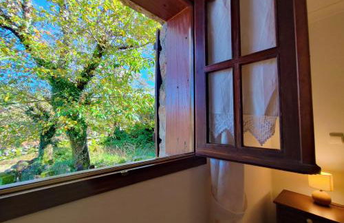 Casa do Rio, Natureza - Nova Gestão - Foto 34