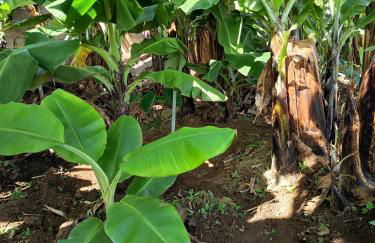 The Goat's Place III - Foto 34