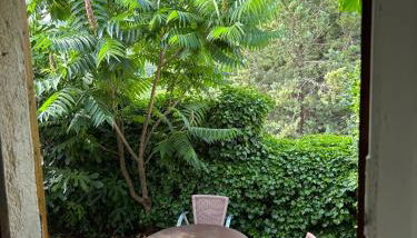 studio en provence verte - Foto 3, Garden