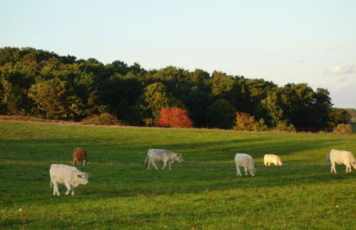 Alter Schulgarten - Foto 26