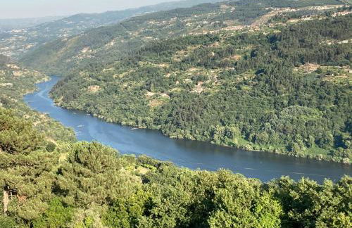 Mira Douro Valley Home - Foto 47