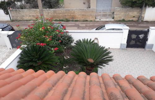 Star house - Foto 16