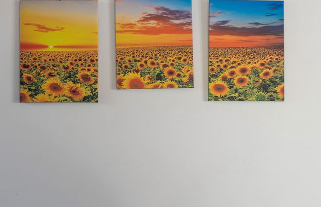 360 Degree View Over the Tuscan Hills - Foto 74