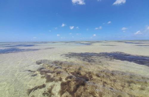 Villa das Pedras - Ponta de Pedras - Foto 38