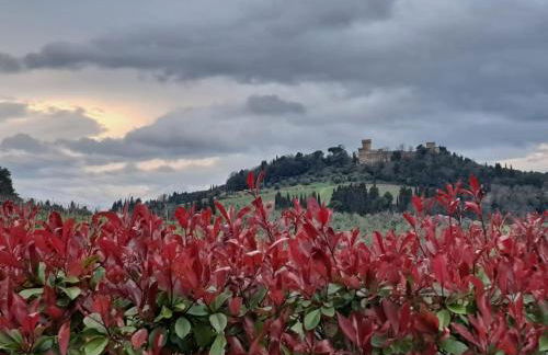I Vigneti del Chianti - Foto 49