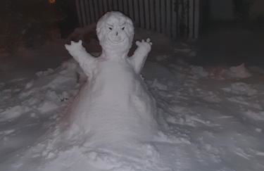 Sonniges Apartment Altenbrak - Foto 25