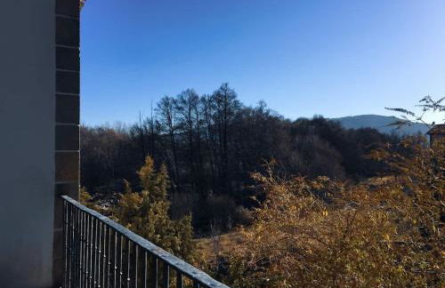 La Higuerilla - Photo 23