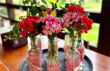 EcoPousada Pico do Jabre - Photo 4