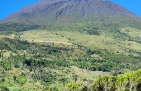 Vista Pico House - Photo 7