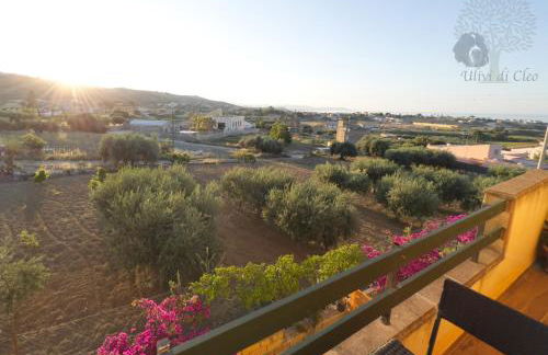 Ulivi di Cleo - Foto 64