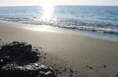 M@re Nostrum & Co. - Foto 28