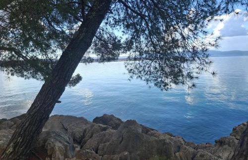 Apartman Ivona - Photo 51
