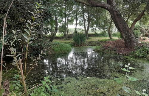 la maison des lavandières - Foto 32